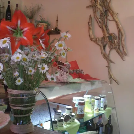Alloggio per agriturismo Le Radici