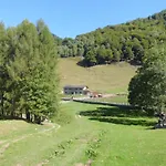 Le Radici * 산 페델레 인텔비