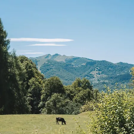Le Radici Farm stay *
