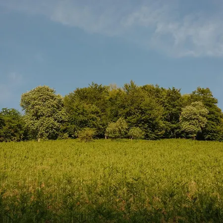 Farm stay Le Radici