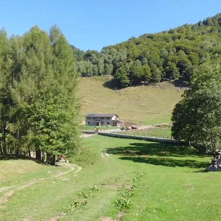 Le Radici * Сан-Феделе-Интельви