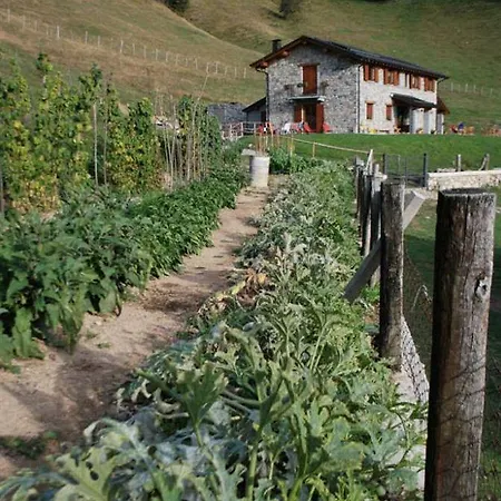 Farm stay Le Radici