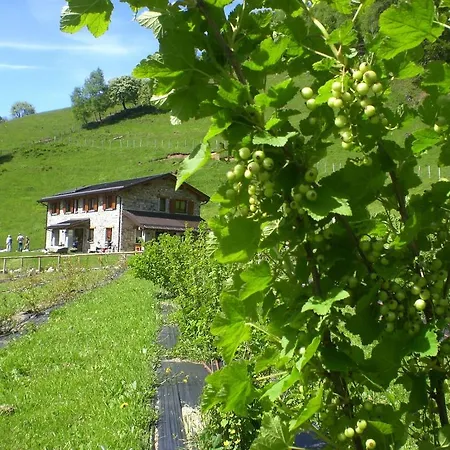 Le Radici * Сан-Феделе-Интельви