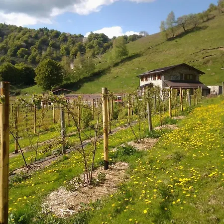 Le Radici * San Fedele Intelvi