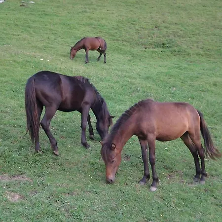 Фермерский дом Le Radici Сан-Феделе-Интельви