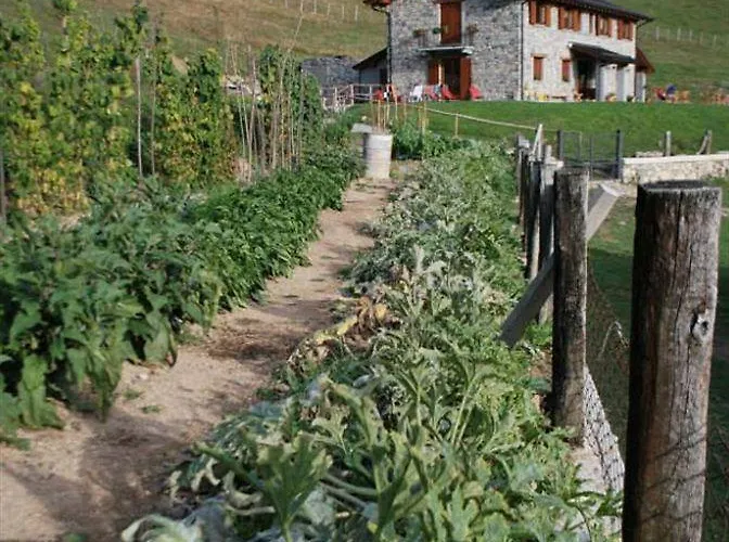 Séjour à la ferme Le Radici
