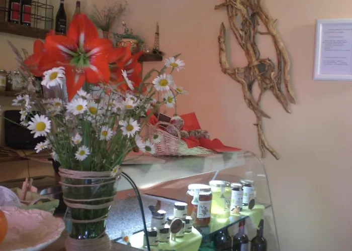 Séjour à la ferme Le Radici