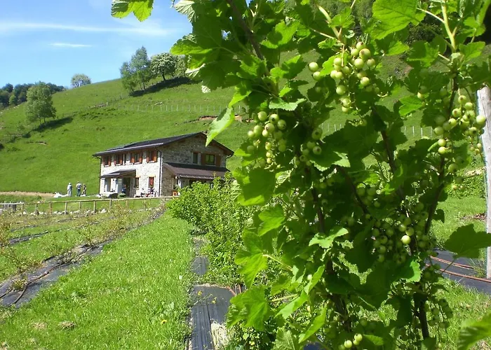 Le Radici * San Fedele Intelvi