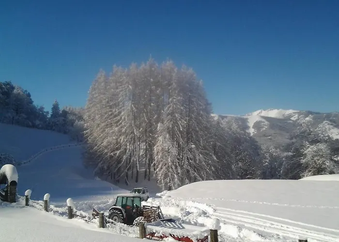 Κατάλυμα σε φάρμα Le Radici