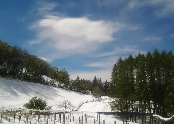Séjour à la ferme Le Radici *