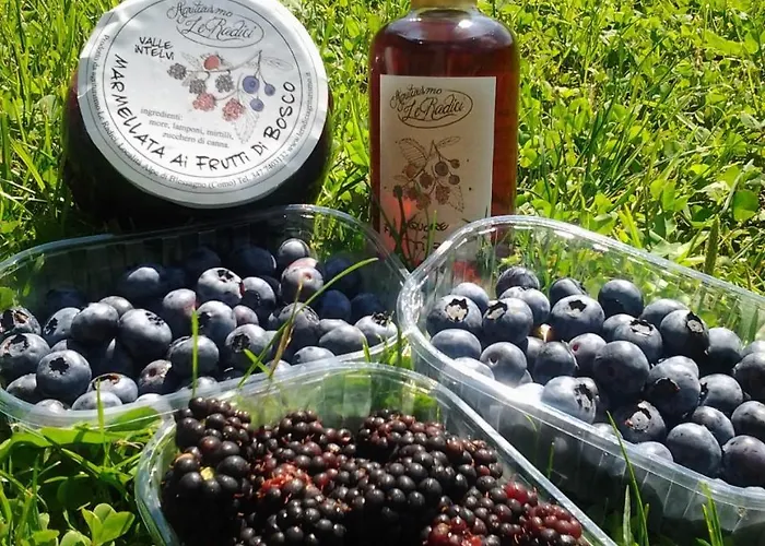 Le Radici Séjour à la ferme San Fedele Intelvi