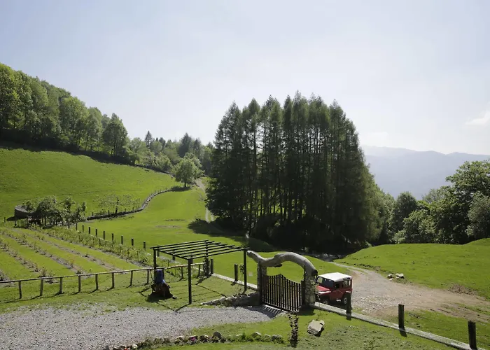 Le Radici * San Fedele Intelvi