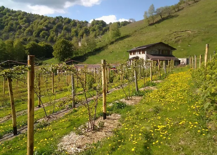 Le Radici * San Fedele Intelvi